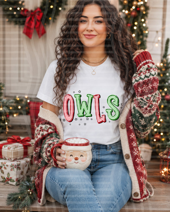 Owls Red and Green Christmas Seersucker Mascots DTF transfer