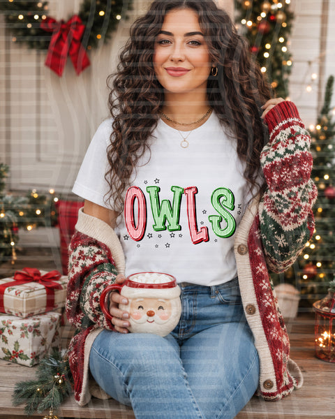 Red and Green Christmas Seersucker Mascots Owls design