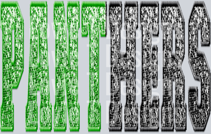 PANTHERS SPLIT SEQUIN GREEN AND BLACK