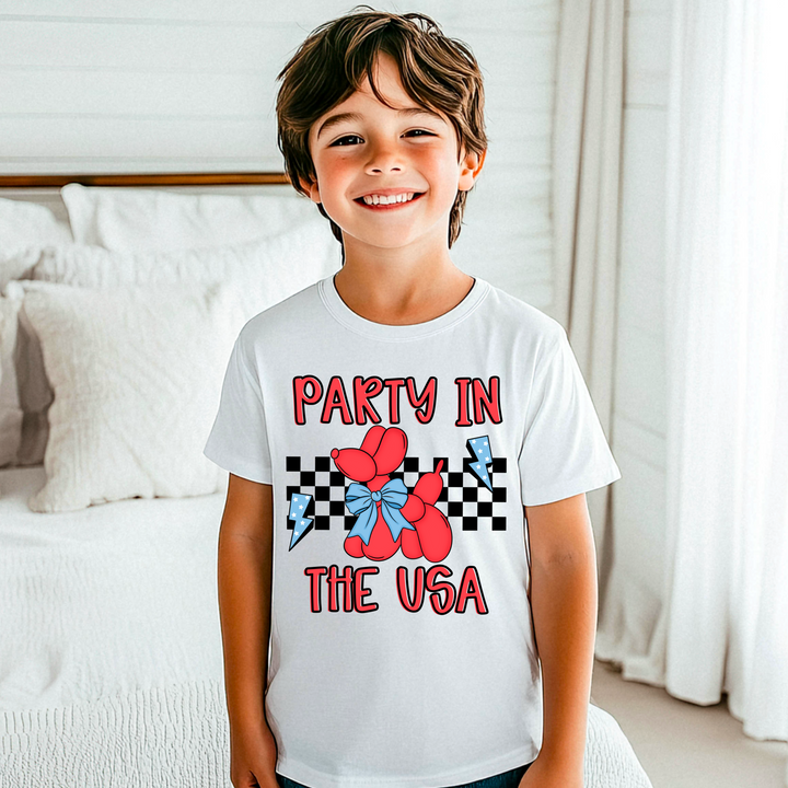 PARTY IN THE USA