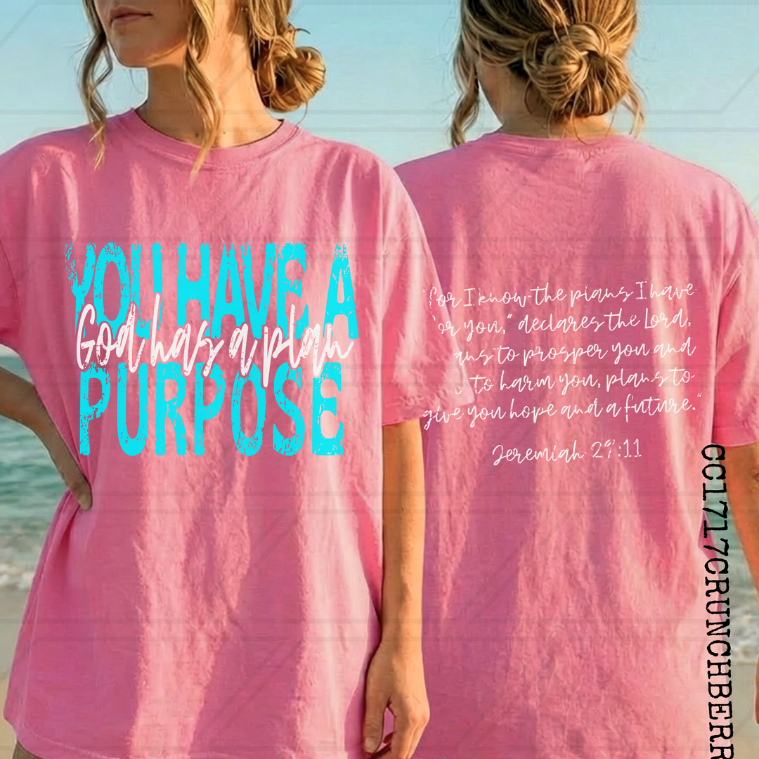 GOD HAS A PLAN YOU HAVE A PURPOSE BACK DISTRESSED