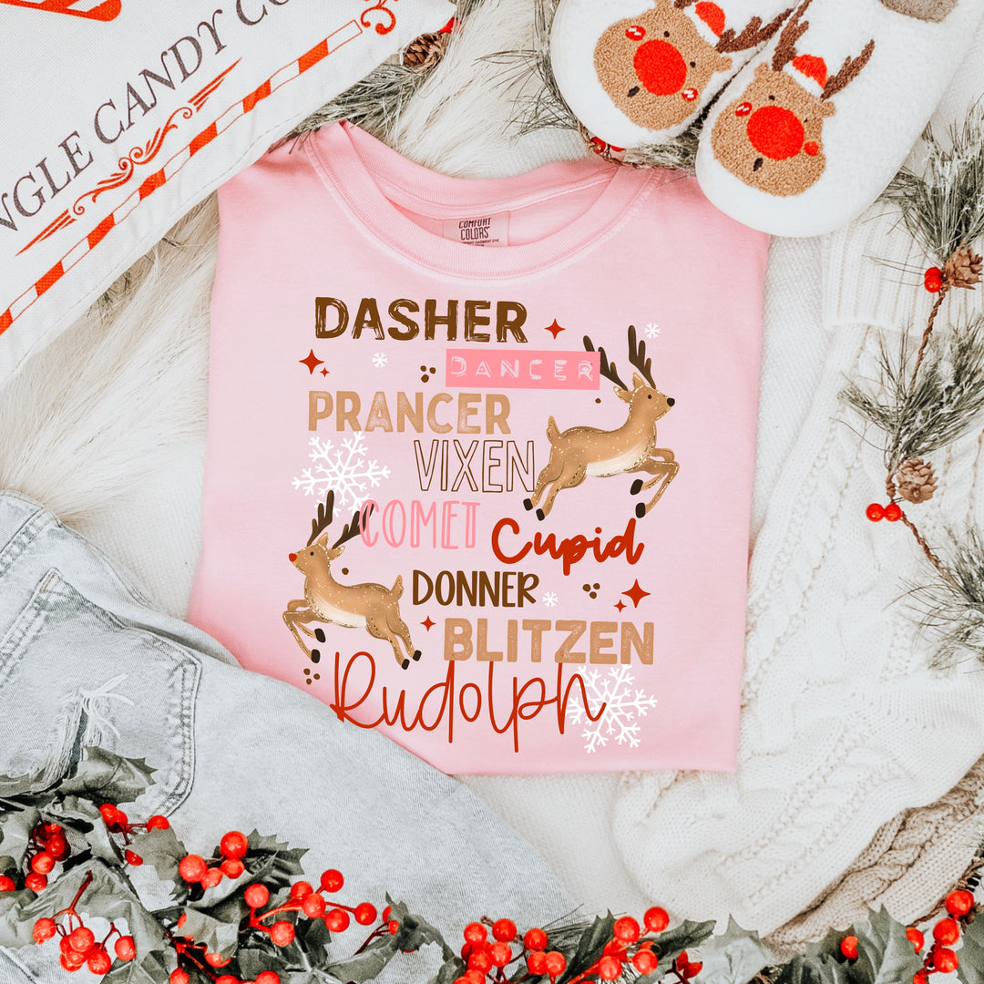 REINDEER NAMES mockup