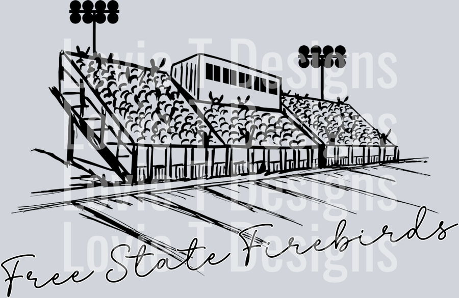 SCRIPT STADIUM FREE STATE FIREBIRDS