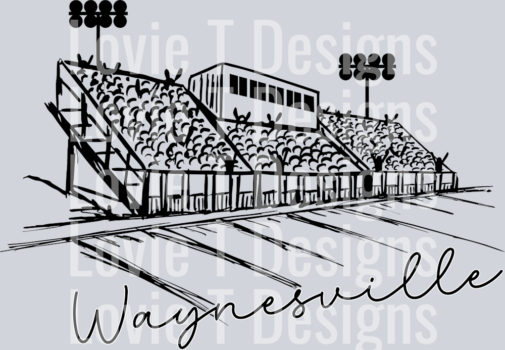 SCRIPT STADIUM Waynesville
