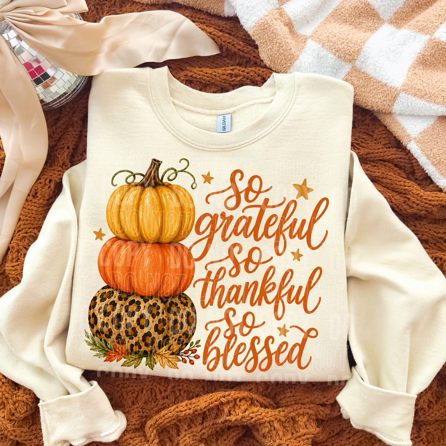 SO GRATEFUL SO THANKFUL SO BLESSED mockup
