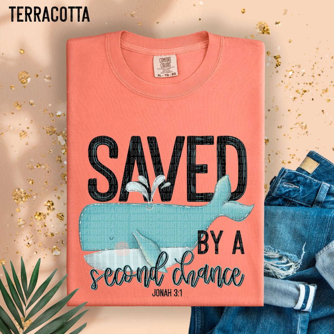 SAVED BY A SECOND CHANCE