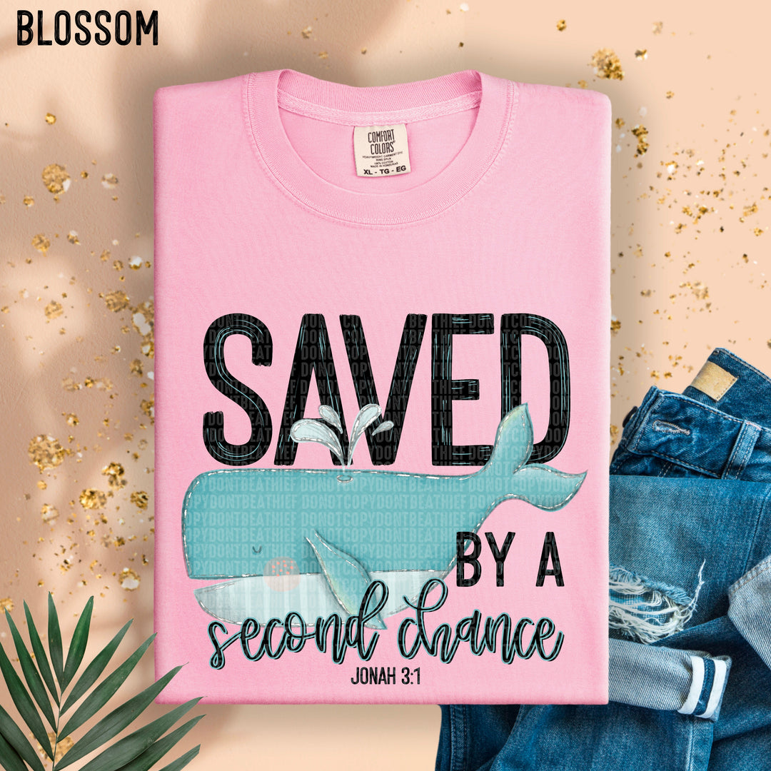 SAVED BY A SECOND CHANCE