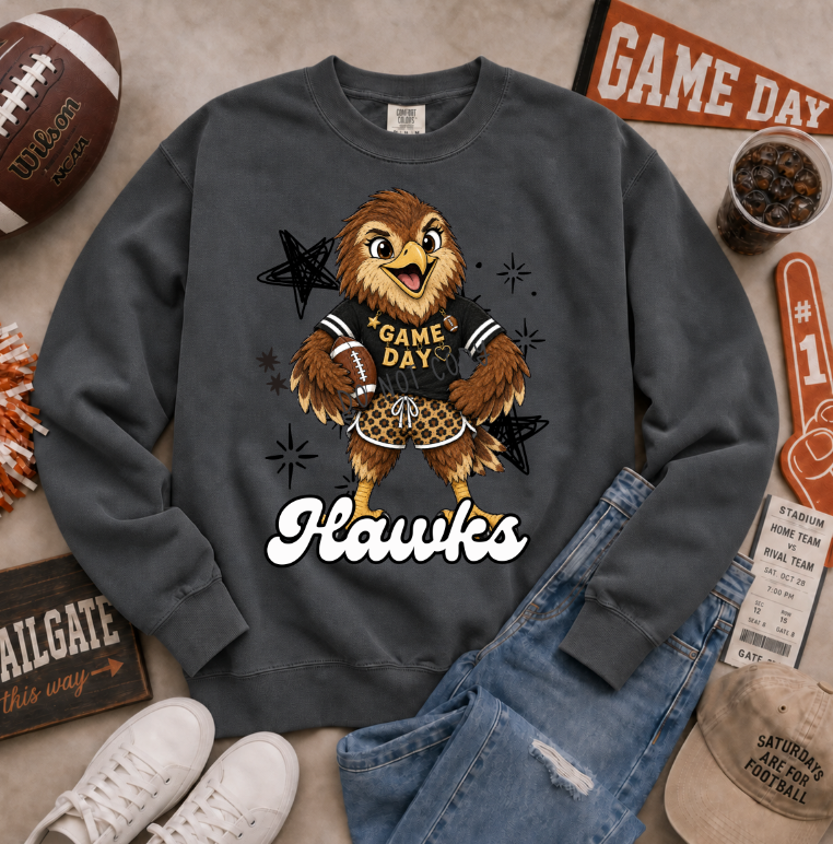 Vintage Football Hawks DTF transfer