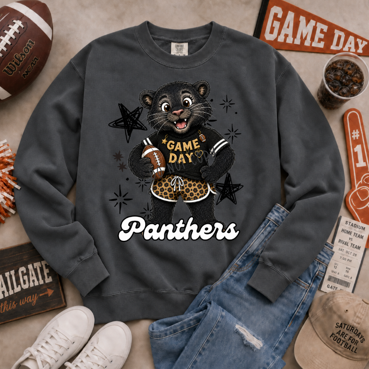 Vintage Football Panthers DTF transfer