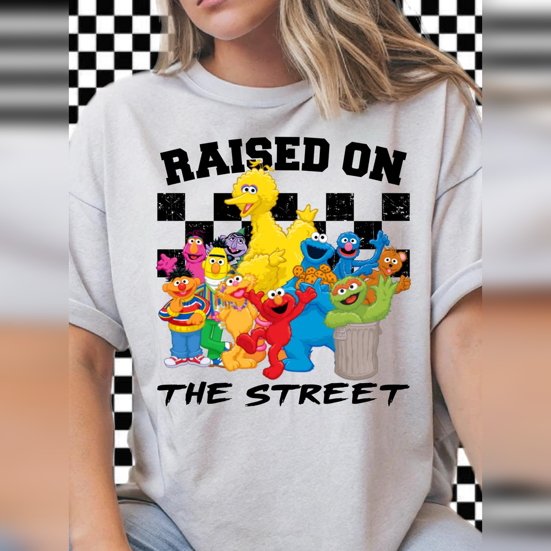 Sesame Street – DTF Transfer