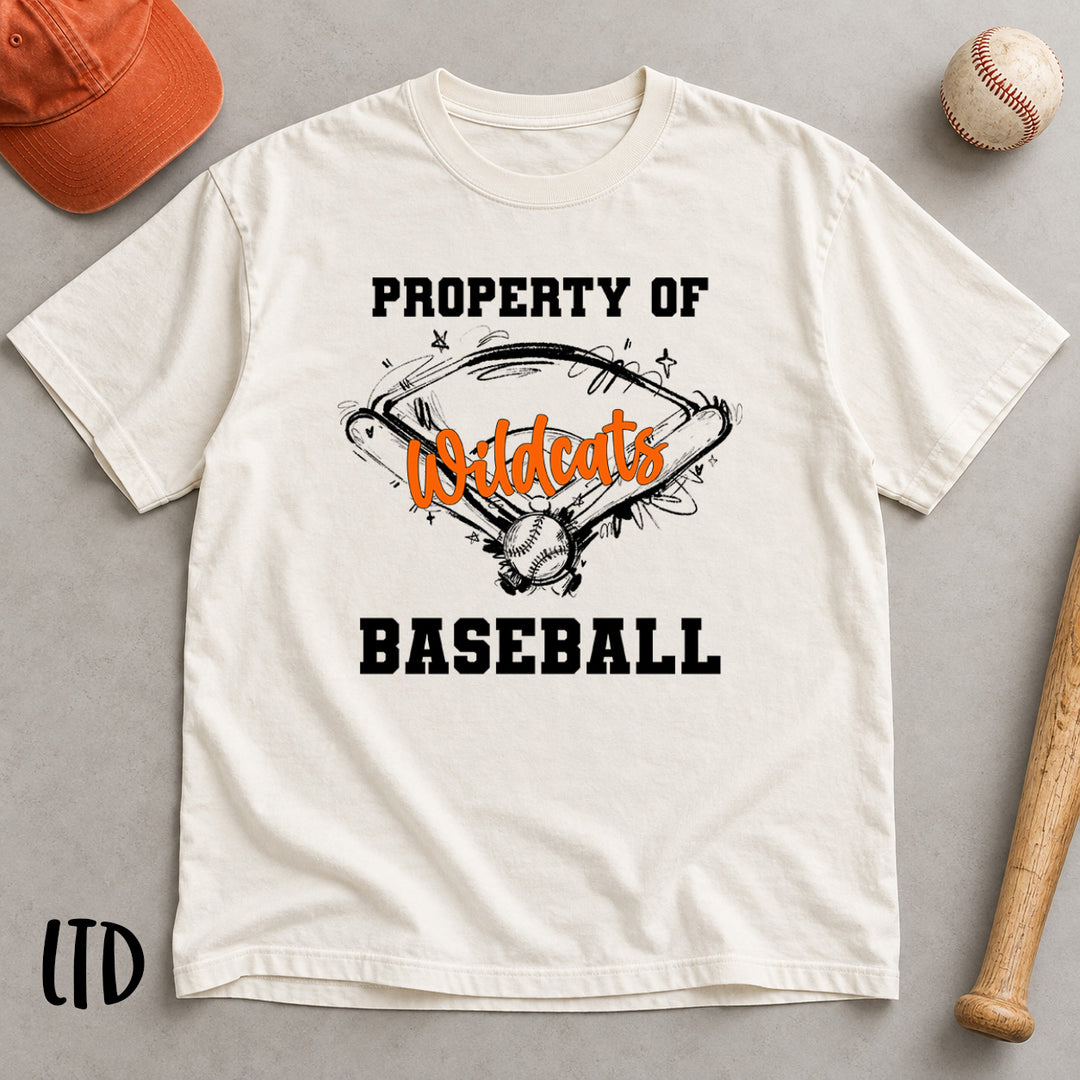 Sketchy Baseball Field with Bats Ball customizable DTF transfer mockup with varsity words