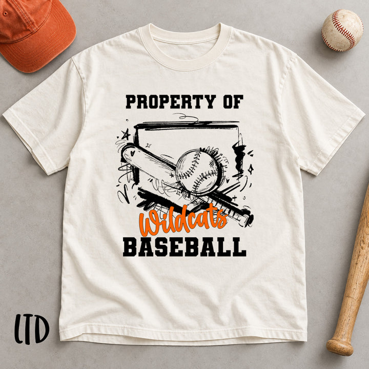 Sketchy Baseball Homeplate Bat Ball customizable DTF transfer mockup with varsity words