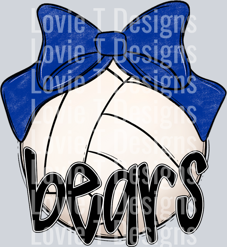 Sport Bow Balls VOLLEYBALL ROYAL BEARS