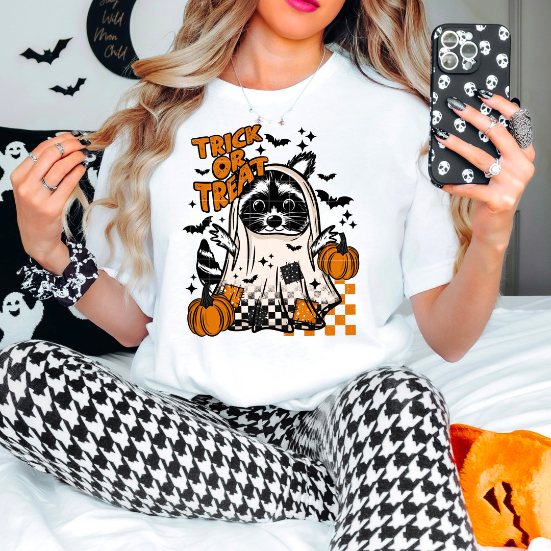 TRICK OR TREAT GHOST RACOON