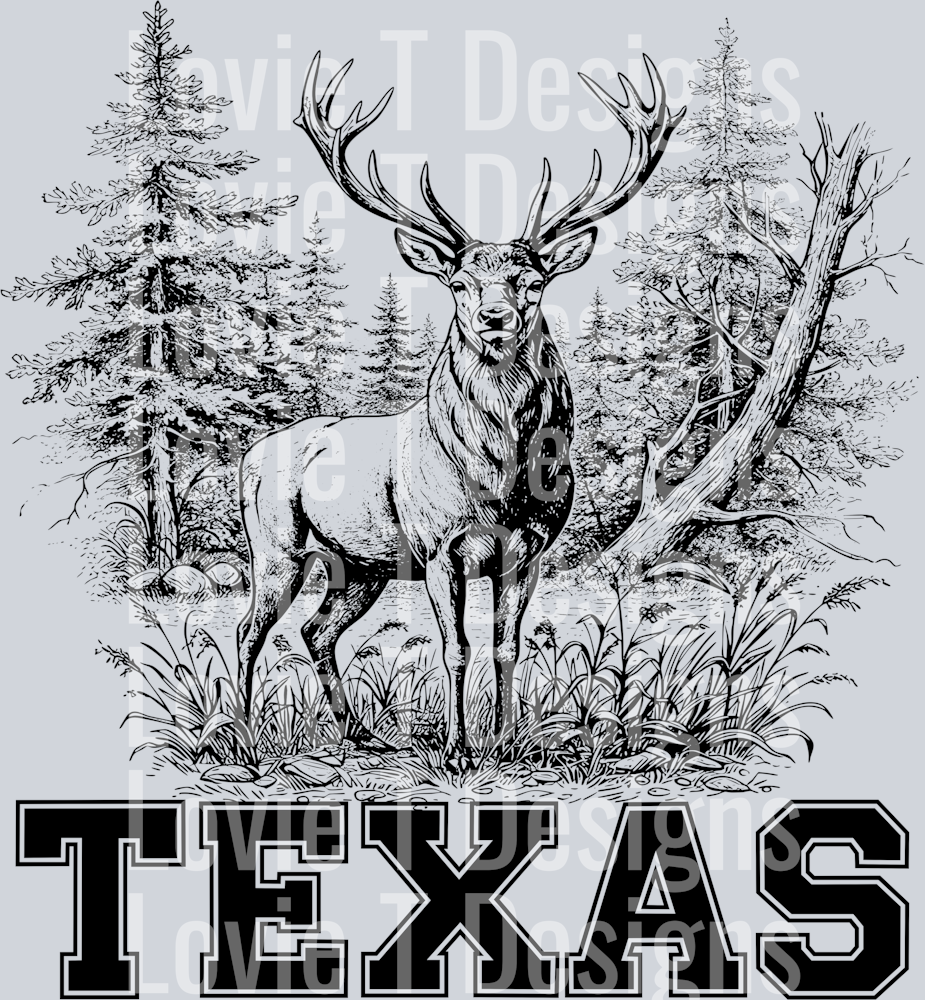 Texas deer