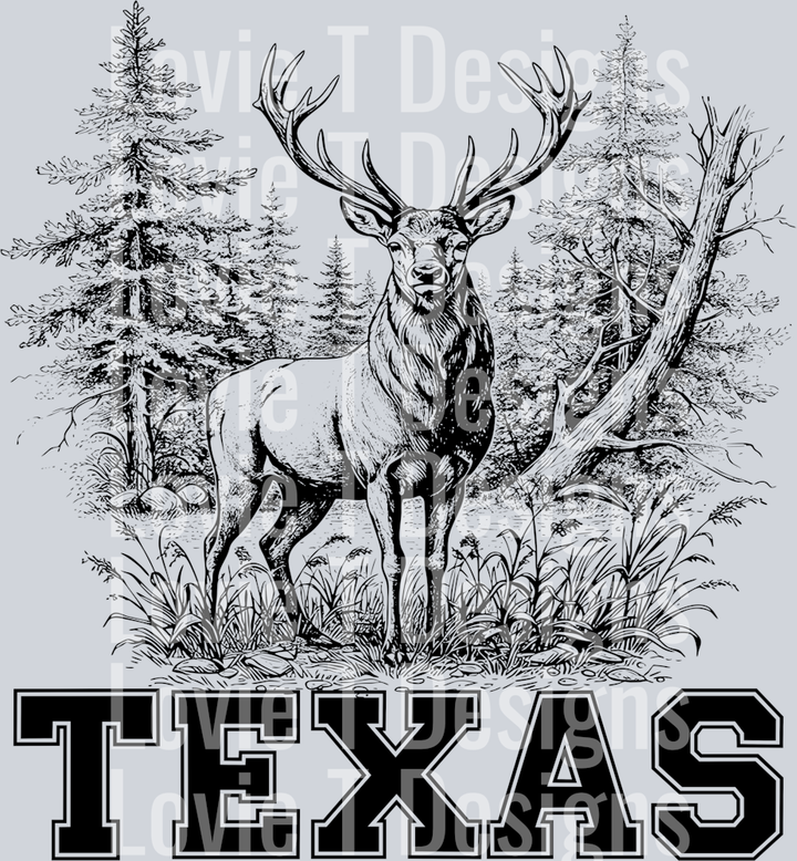 Texas deer