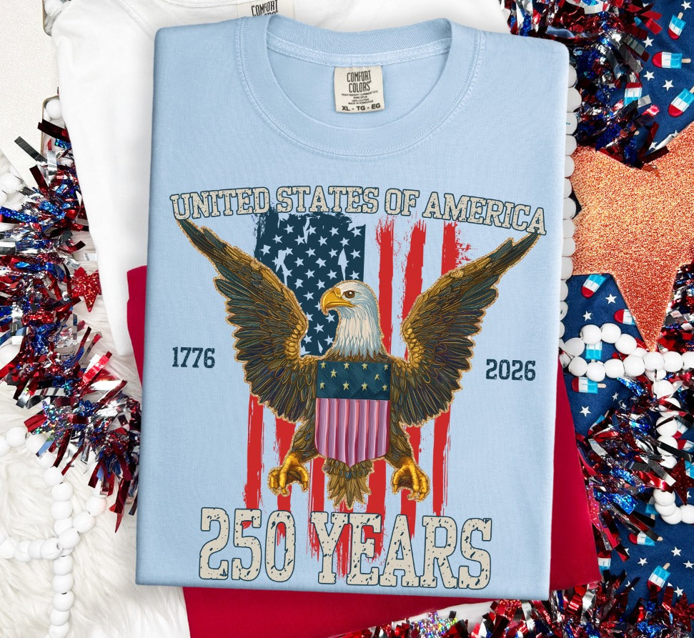 USA 250 Years DTF transfer design