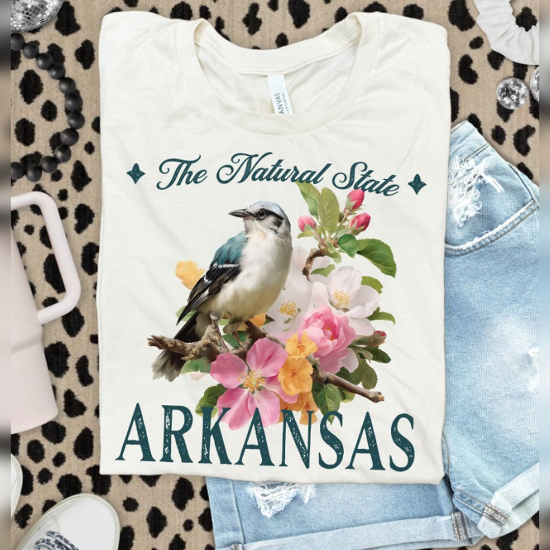 Vintage States Arkansas – DTF Transfer
