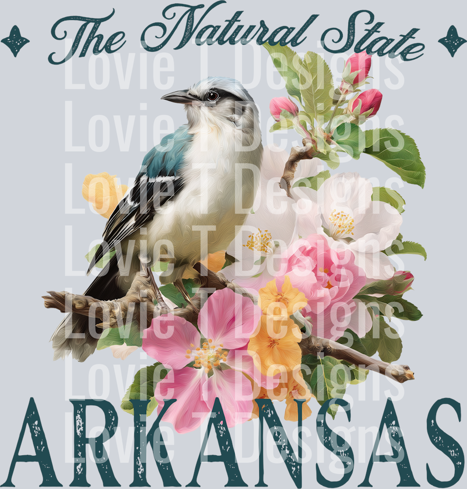 VINTAGE STATES ARKANSAS