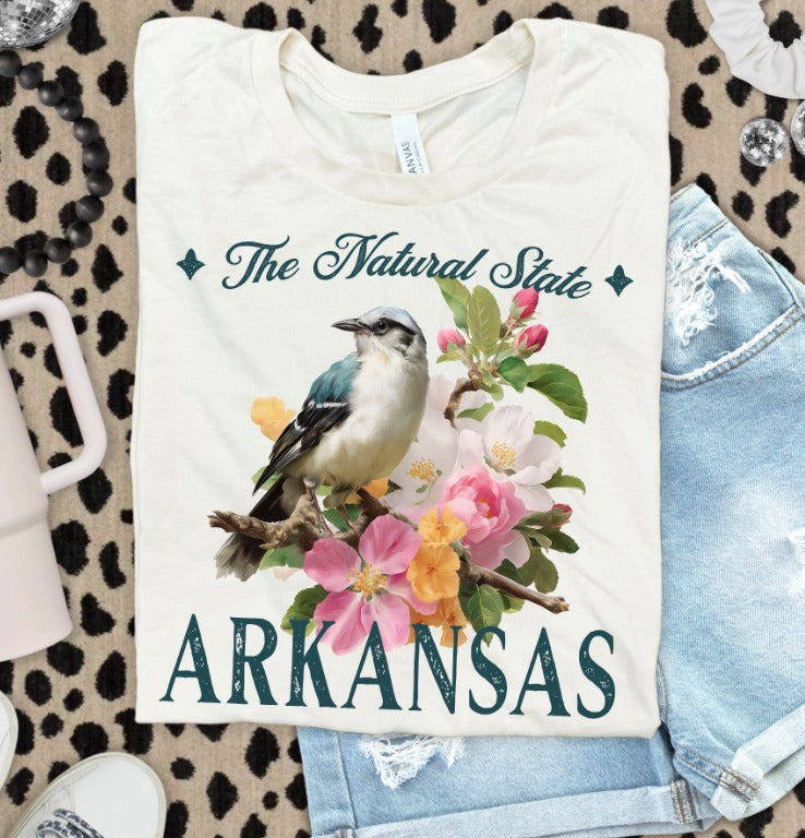Vintage States Arkansas DTF transfer design – image 1