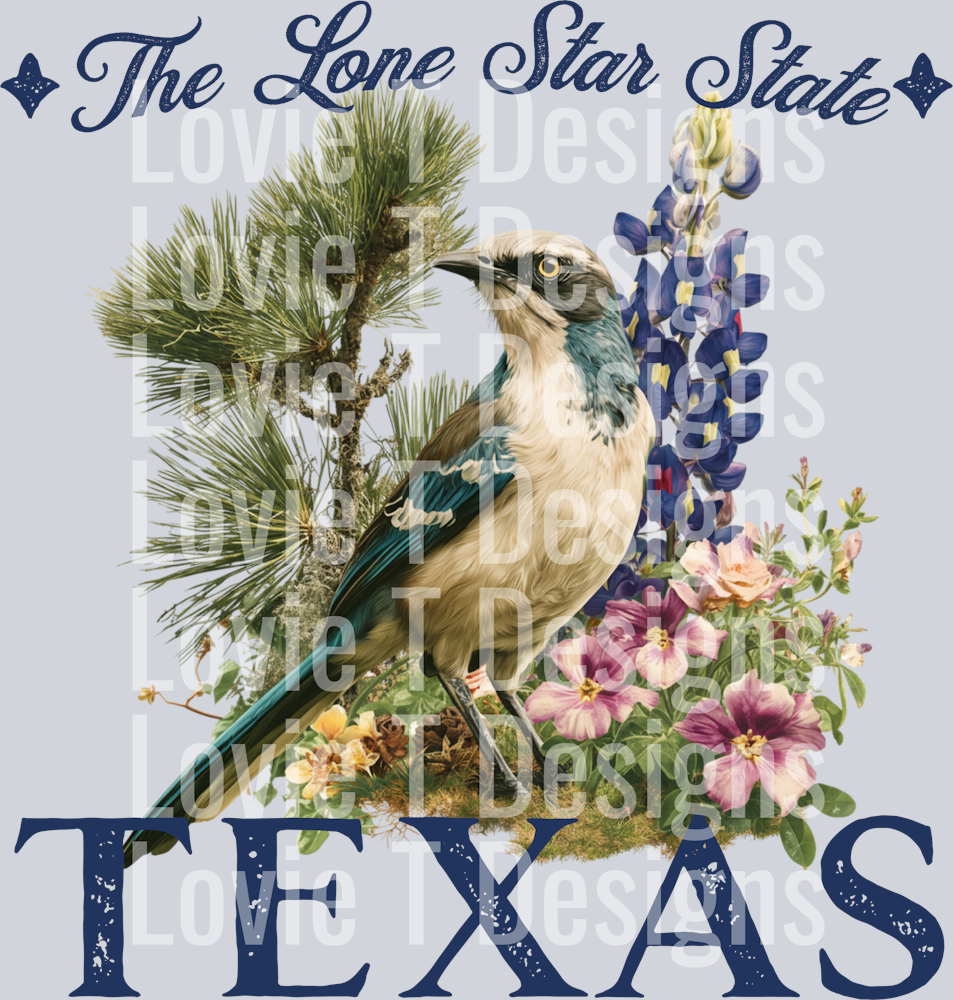 VINTAGE STATES TEXAS