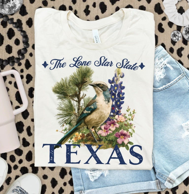 Vintage States Texas DTF transfer design – image 1