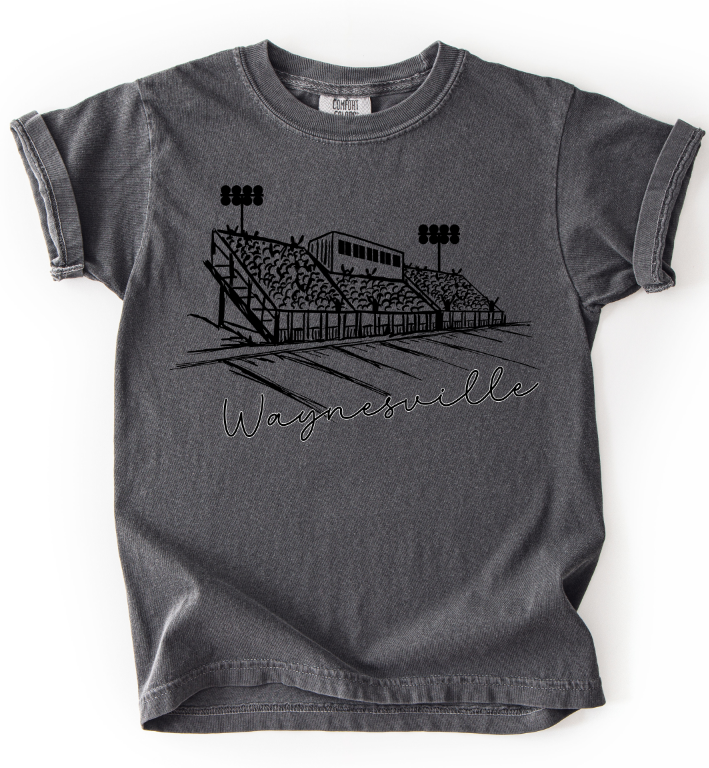 SCRIPT STADIUM WAYNESVILLE