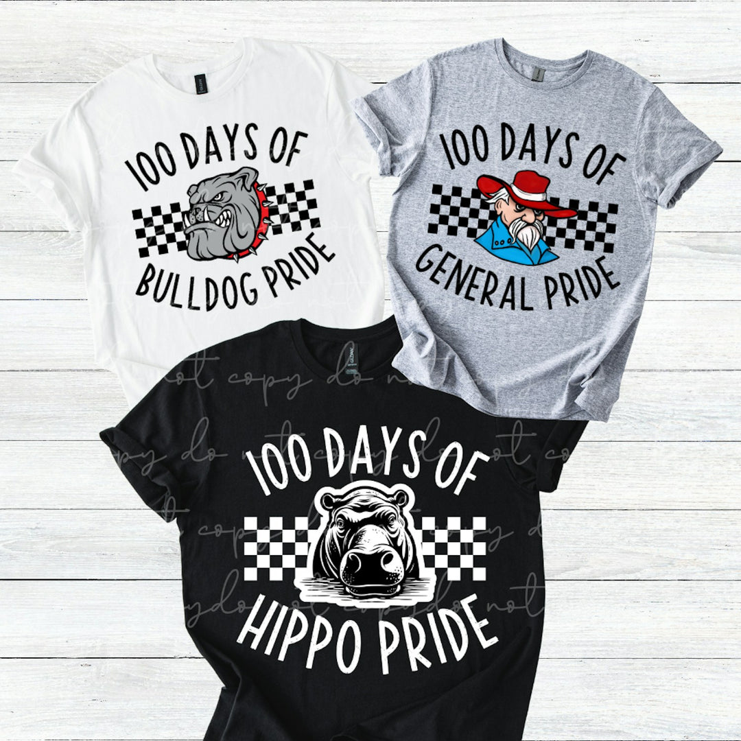 100 Days of Pride customizable DTF transfer