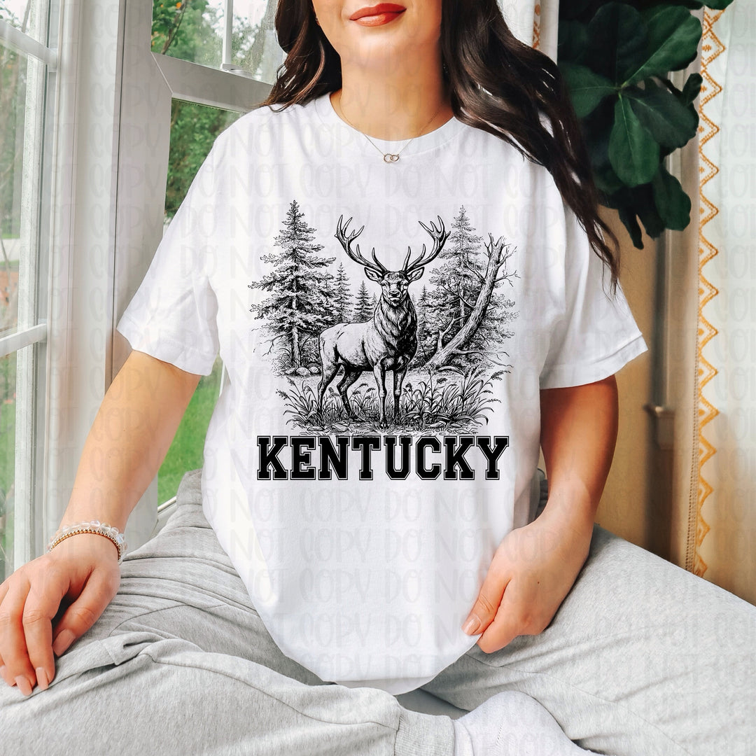 KENTUCKY DEER