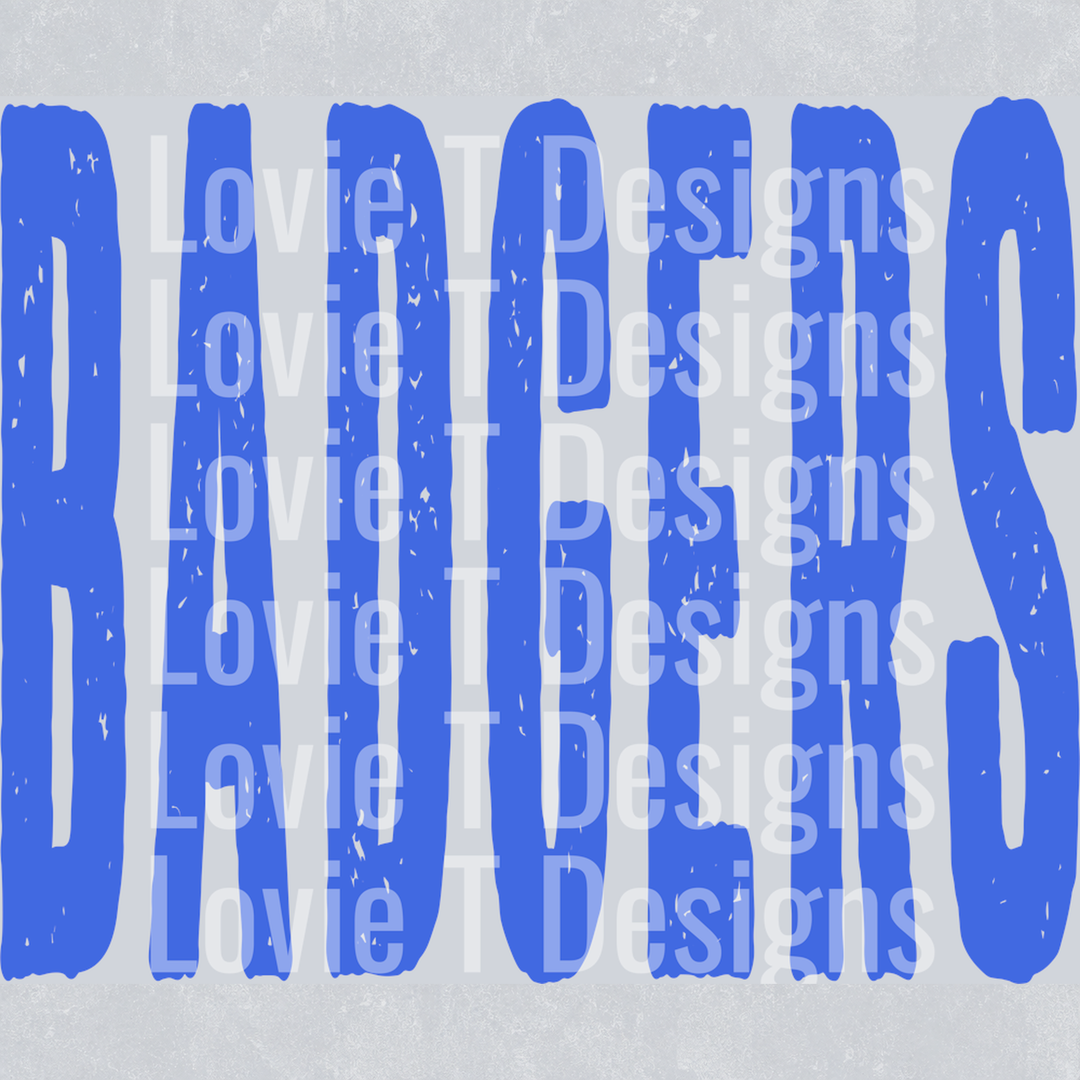 BADGERS OVERSIZED GRUNGE 4169E1