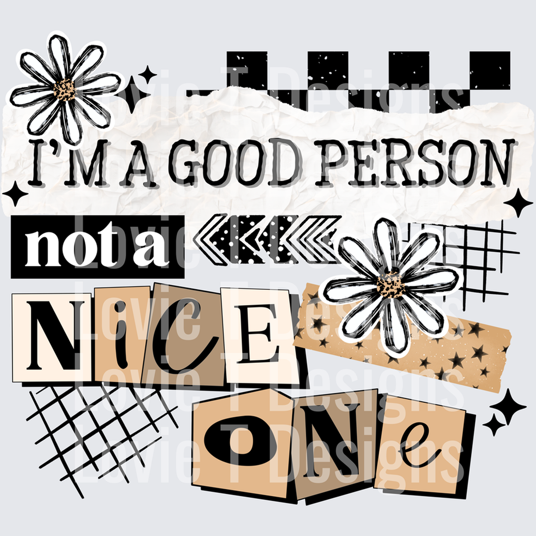 Not a Nice Person – DTF Transfer