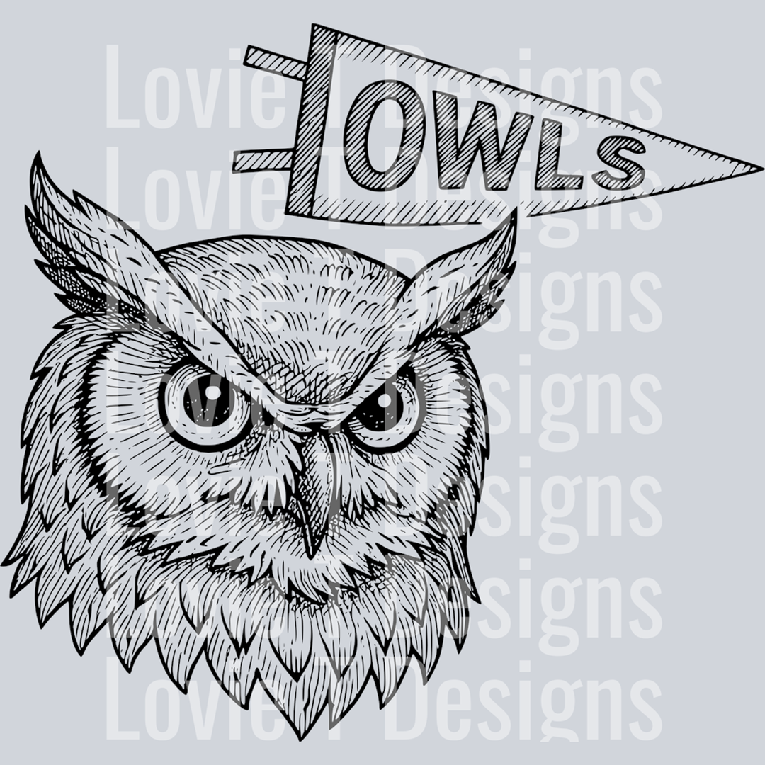 Pennant Owls – DTF Transfer