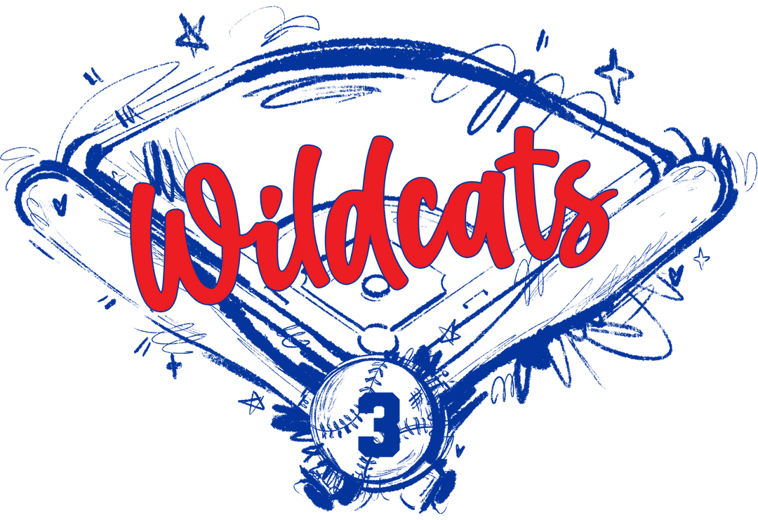 Sketchy Baseball Field with Bats Ball customizable DTF transfer with script team name and number