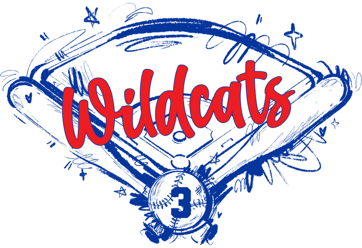 Sketchy Baseball Field with Bats Ball customizable DTF transfer with script team name and number