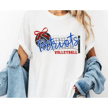 Volleyball Faux Glitter Net customizable DTF transfer