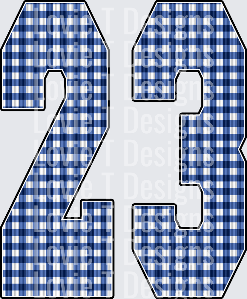 23 ROYAL GINGHAM