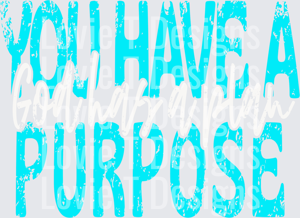 GOD HAS A PLAN YOU HAVE A PURPOSE AQUA DISTRESSED