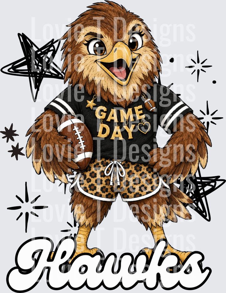 Vintage Football Hawks DTF transfer