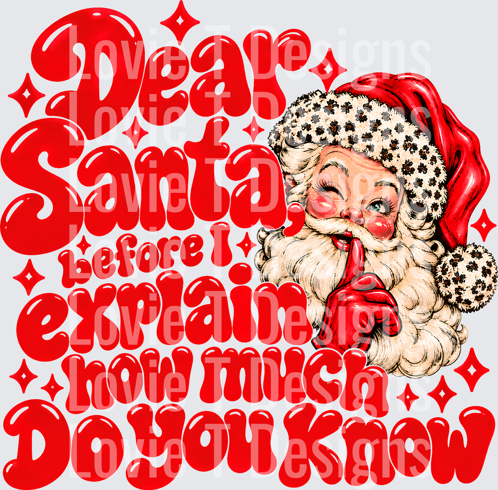 DEAR SANTA EXPLAIN SBB
