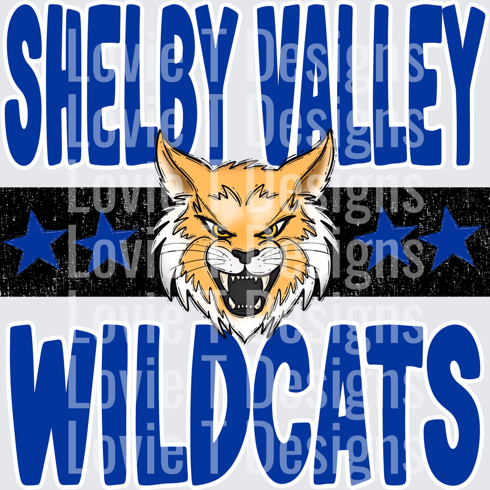 CUSTOM STAR STRIPE SHELBY VALLEY WILDCATS