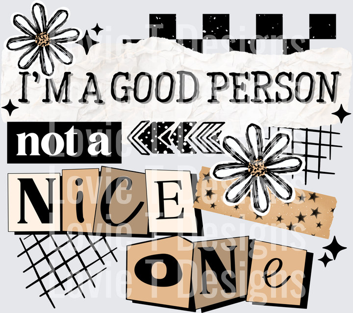 Not A Nice Person everyday DTF transfer design